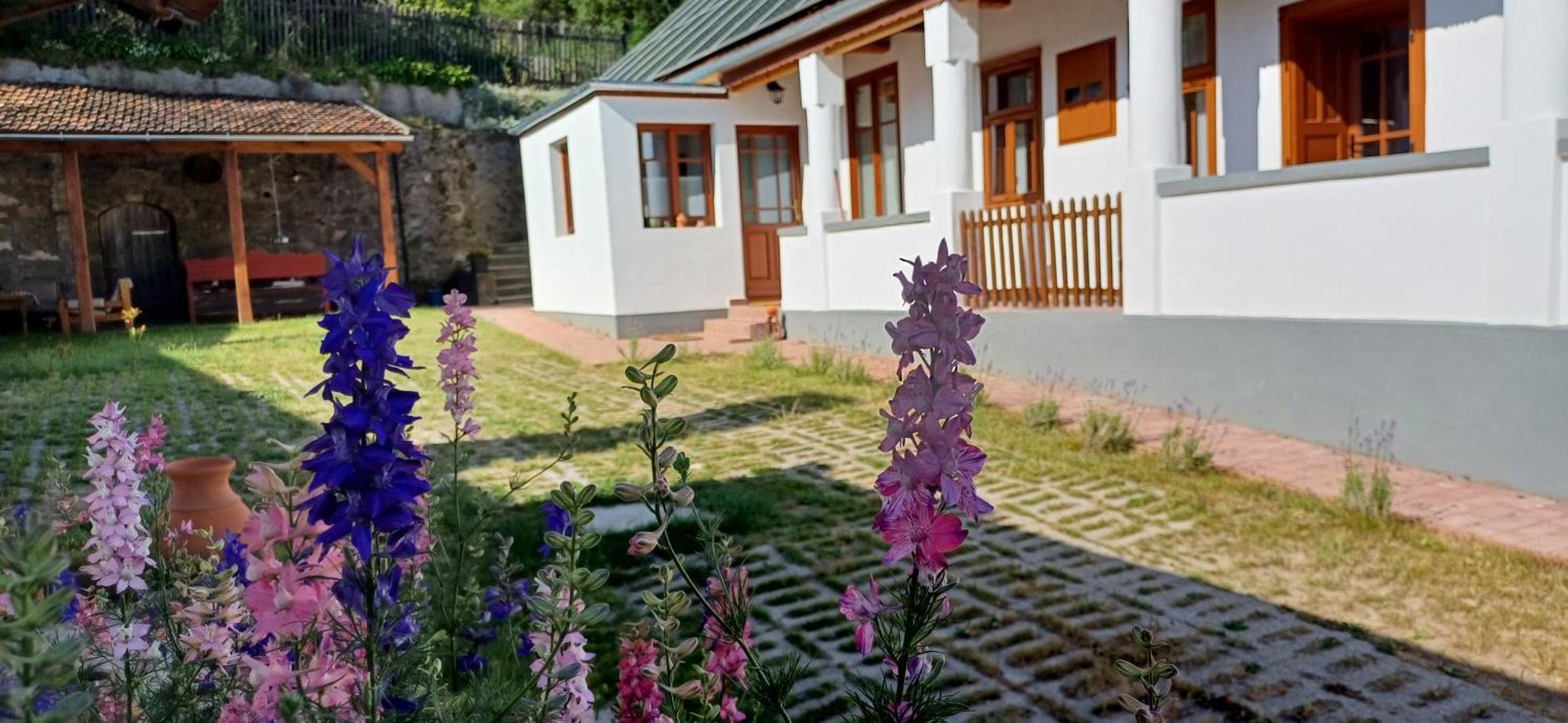 Karadi Vendeghaz Apartment *